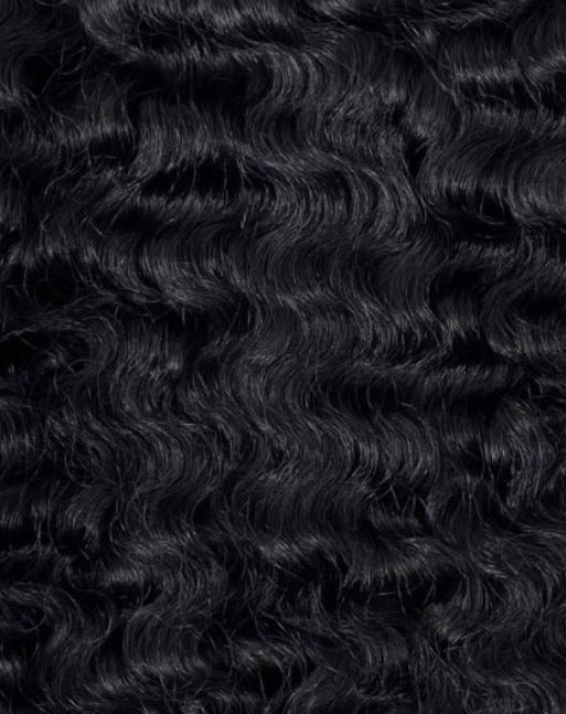 BURMESE CURLY